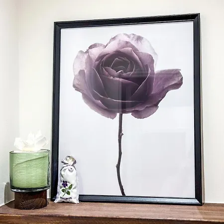 Apartment Cachet Au Coeur De Toulouse